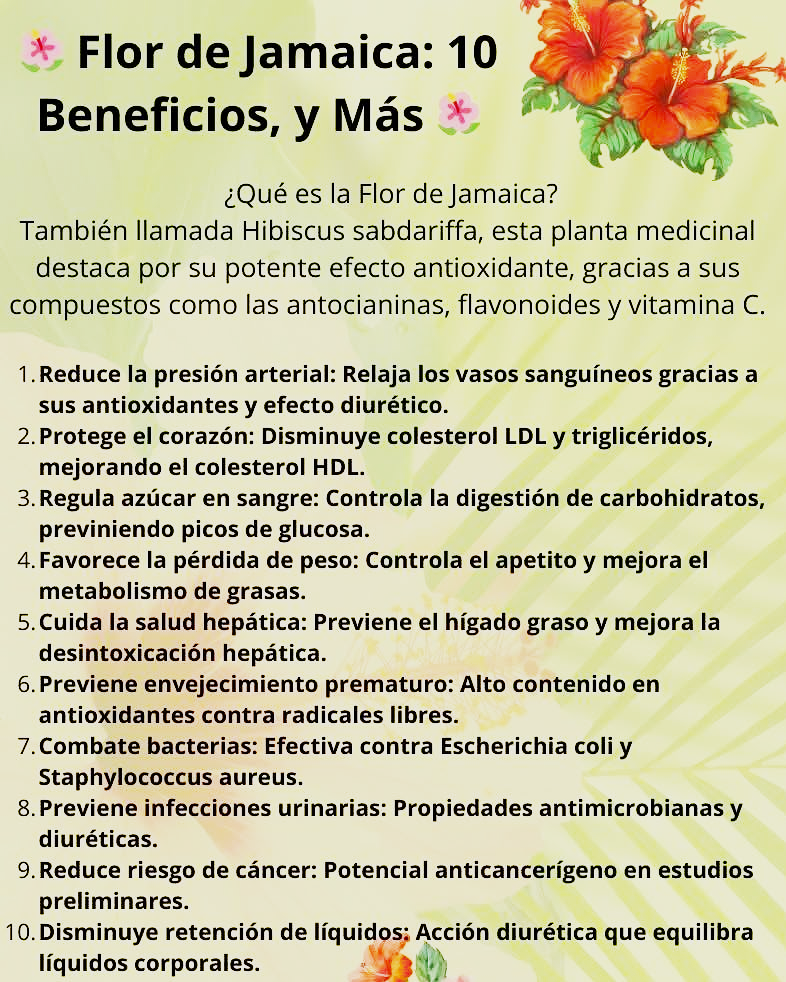 Infusion Detox Flor De Jamaica Premium